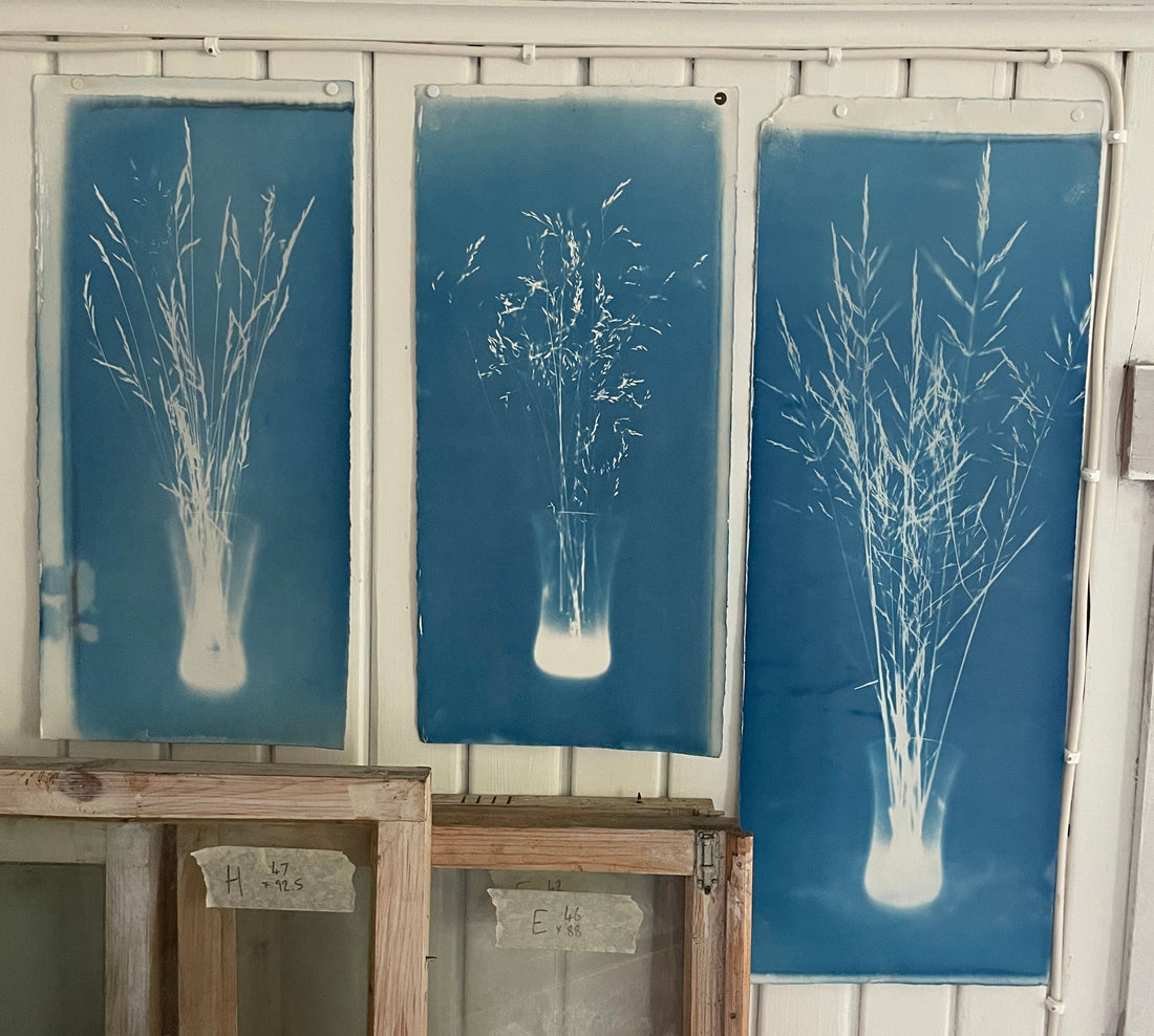 The summer of cyanotype
